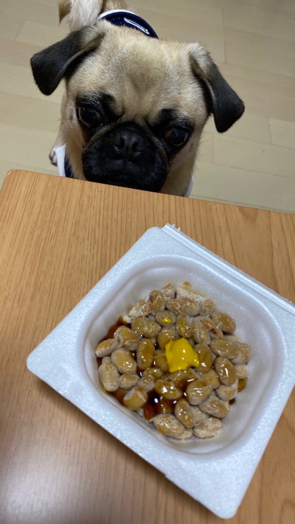 20200718納豆を食べたいもも